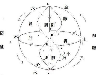 五行在空间医学中的阐述