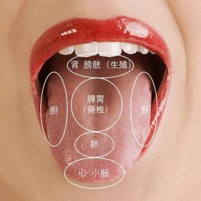 舌苔和舌质的辨证